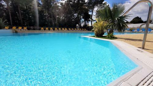L Arbre Aux Perles - Saint-jean-de-monts - Piscine