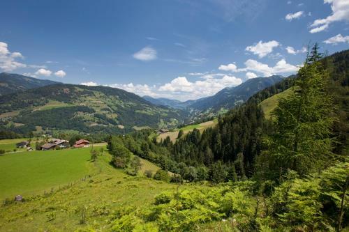 Hostal Embacherhof