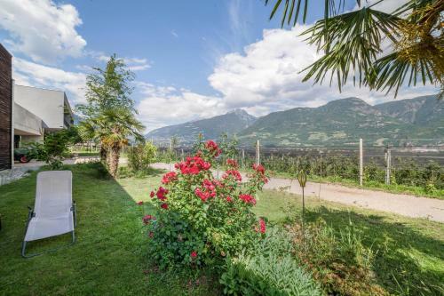 Apartment Das Runde