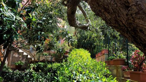 Bed & Breakfast Delle Rose