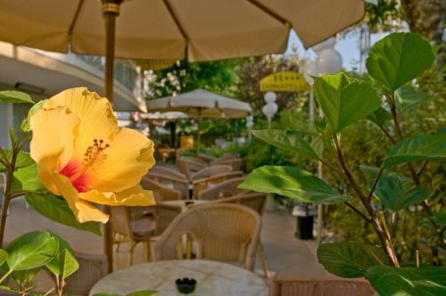 Hotel Donatello