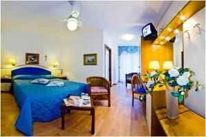Hotel Panoramic