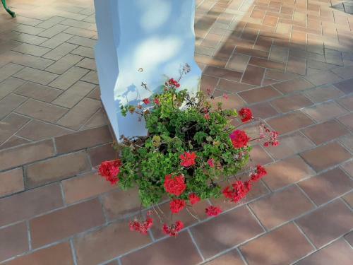 Agroturismo Casa Rural La Aulaga
