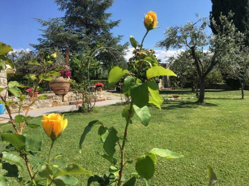 Apartamento Casa Vacanze Bellavista