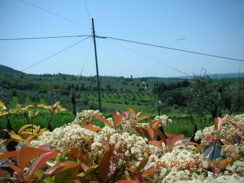 Apartamento Casa Vacanze Bellavista