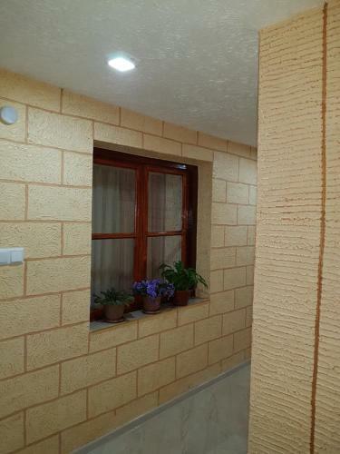 Bed & Breakfast Eko Guest House