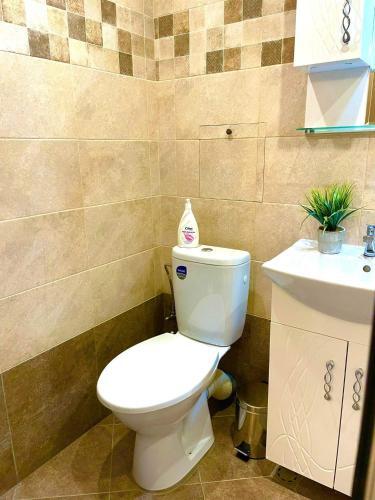Apartamento ?????????? Teddy