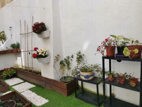 Apartamento The Garden House - Great Lisbon