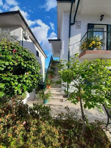Apartamento Maison 1� �tage Jos� Carvalho