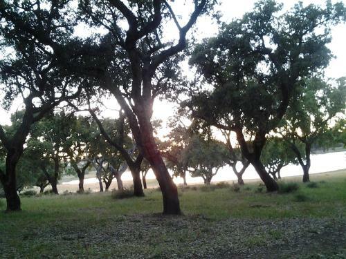 Apartamento Couto Do Ca�ador / Hunter's Cottage