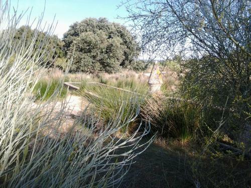 Apartamento Couto Do Ca�ador / Hunter's Cottage
