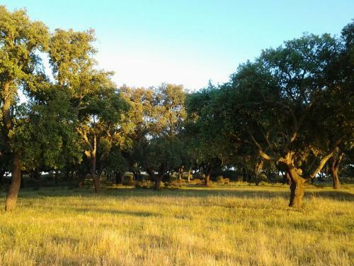 Apartamento Couto Do Ca�ador / Hunter's Cottage