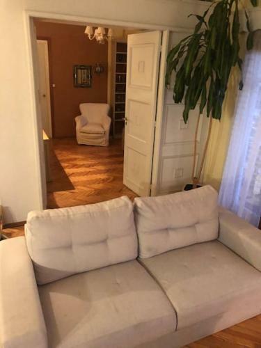 Apartamento En El Mejor Barrio, Pet Friendly!