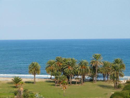 Hotel H�tel C�sar Palace