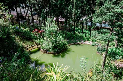 Hotel Villa Amazing Da Lat - Dieu Thong