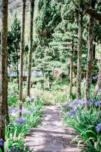 Hotel Villa Amazing Da Lat - Dieu Thong