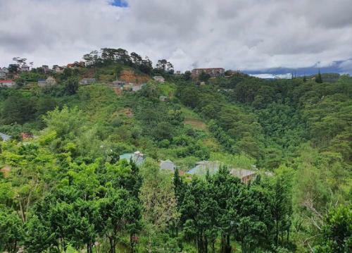 Hotel Villa Amazing Da Lat - Dieu Thong