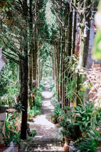 Hotel Villa Amazing Da Lat - Dieu Thong