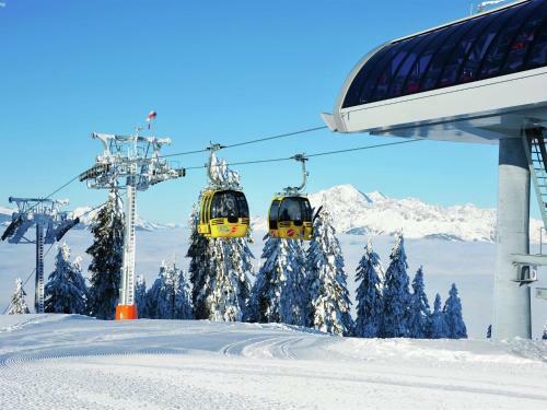 Cozy Apartment Near Ski Area In Maria Alm