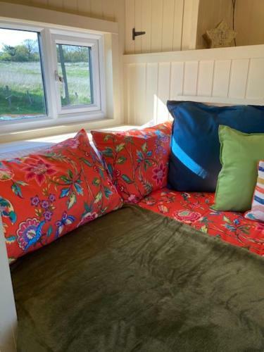 Lodge Neddys Rest Luxury Horsebox Stay