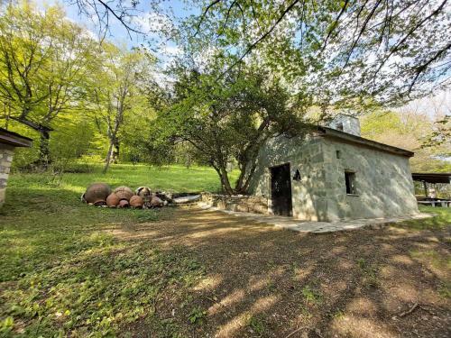 Cottage Ashuri