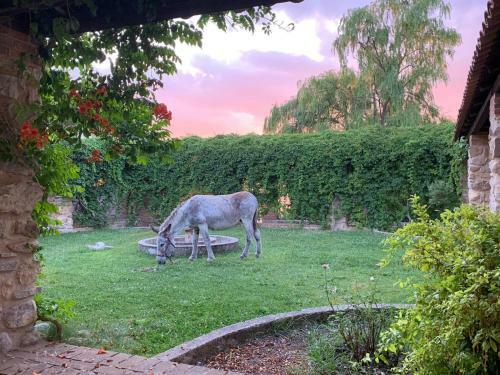 Agroturismo Giardino Donna Lavia