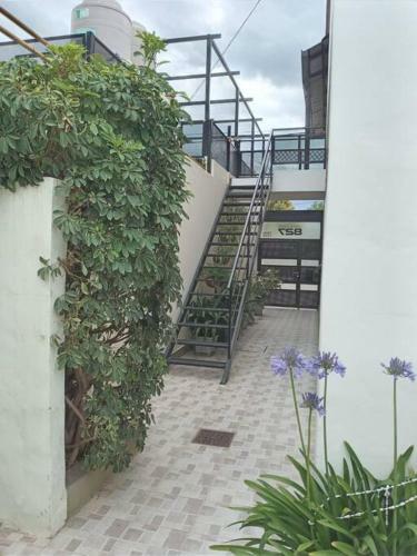 Apartamento Departamento Amoblado Arroyito Complejo Lucipri