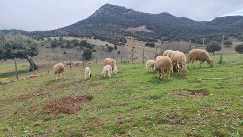 Agroturismo Gite Ain Bechar