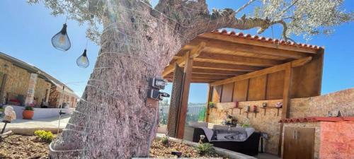Apartamento Ecological Studio Flat In Kalyvia Thorikou Greece