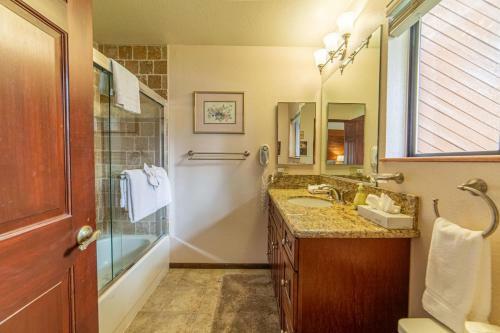#480 - Pet-friendly, Family-friendly Mountain Condo