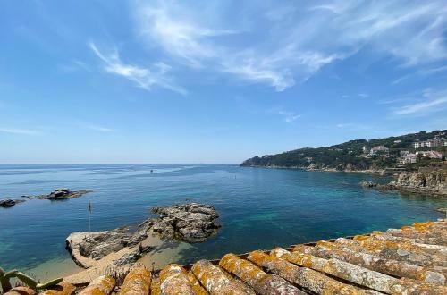 Apartamento Primera Linea De Mar Port-bo