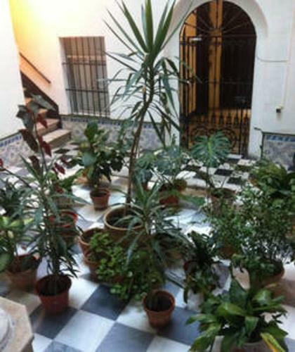 Apartamento El Nido Studio Loft Terrace Sea Views Central