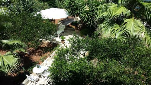 B&B Pittoresco