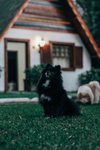 Lodge Oh Hot�is Open House Gramado