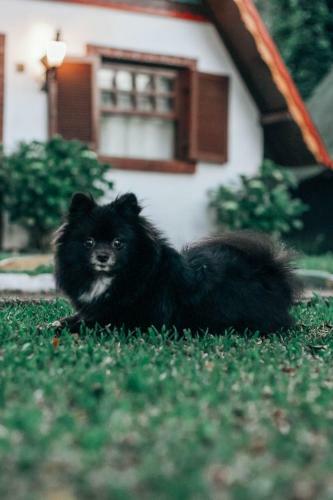 Lodge Oh Hot�is Open House Gramado