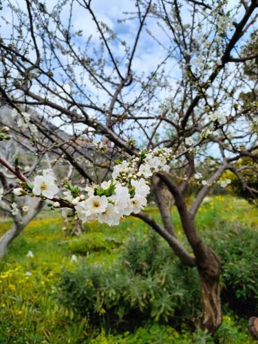 Rustico In Campagna A Due Passi Dal Mare - Scopello
