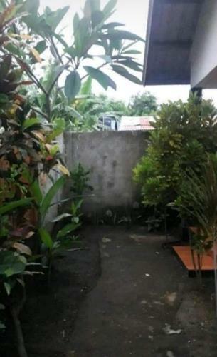 Hostal Mimpi Manis Guest House