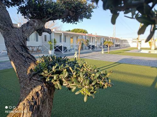 Apartamento Bungalow Buda Beach