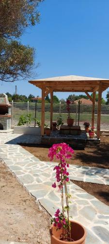 Hostal Seaside Kastamoniti Nikiti "pine&sea"
