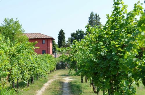 Agroturismo Agriturismo Isola Augusta