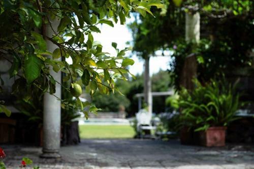 Villa Tenuta Chimeta - Peace Retreat