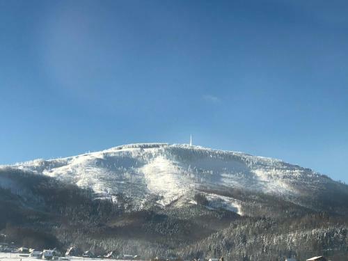 Apartament Beskidek