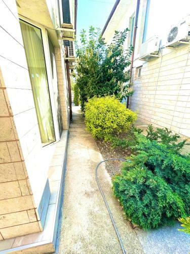 Hostal Emma And Armin Apartments & Garden