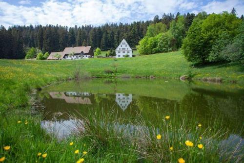 Herrenhaus Hofgut B�renschl�ssle 2