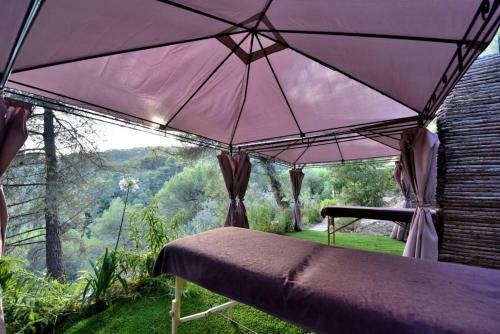 Bed & Breakfast Harmonice