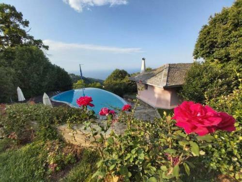 Villa Tsagkarada Country Estate With Pool