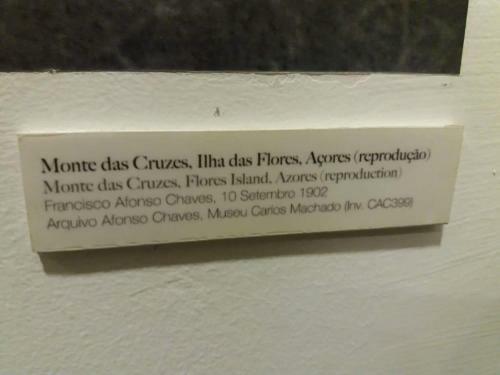 A Quinta Das Flores- Casa Do Miradouro
