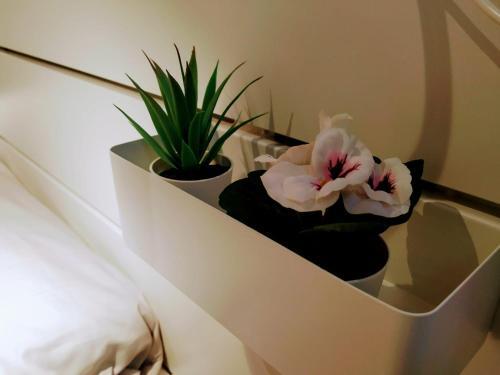 Apartamento Instituto 1�