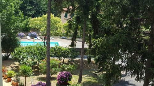 Hotel La Pineta