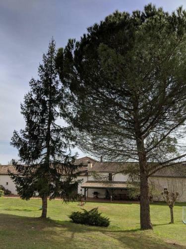 Stunning 7-bed Vineyard Masters House In Dieulivol
